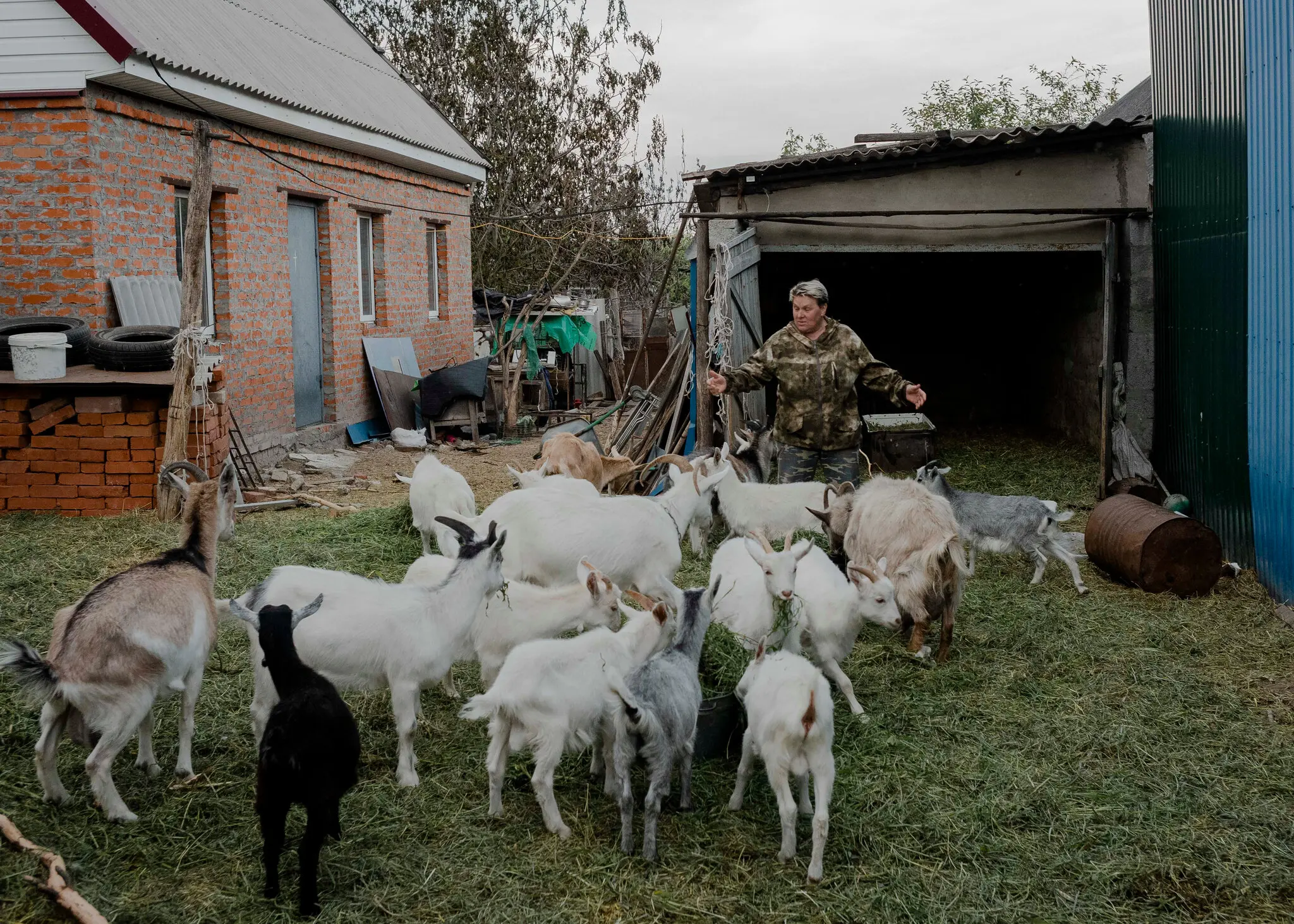 Олена Луцева, 60 років, з козами в Шебекіно.